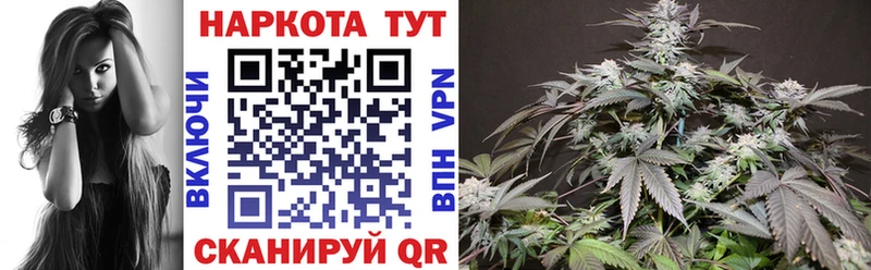 Купить наркотики сайты Волхов АМФ Канабис APVP МЕФ Гашиш