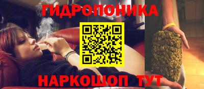 ECSTASY Конаково